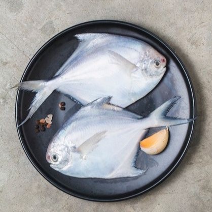 Seafood